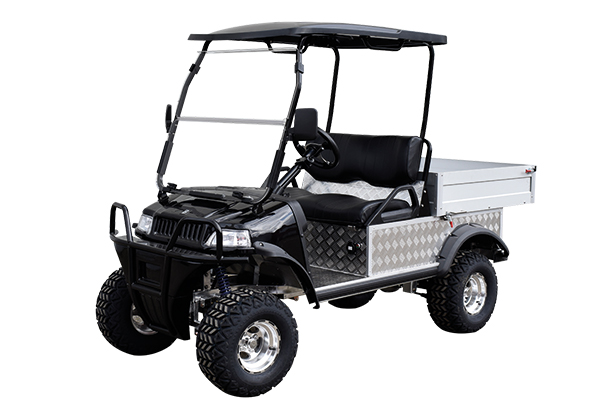 golf,cart,golfcart,golfcar,golfauto,golfwagen,golfcaddy,ecar